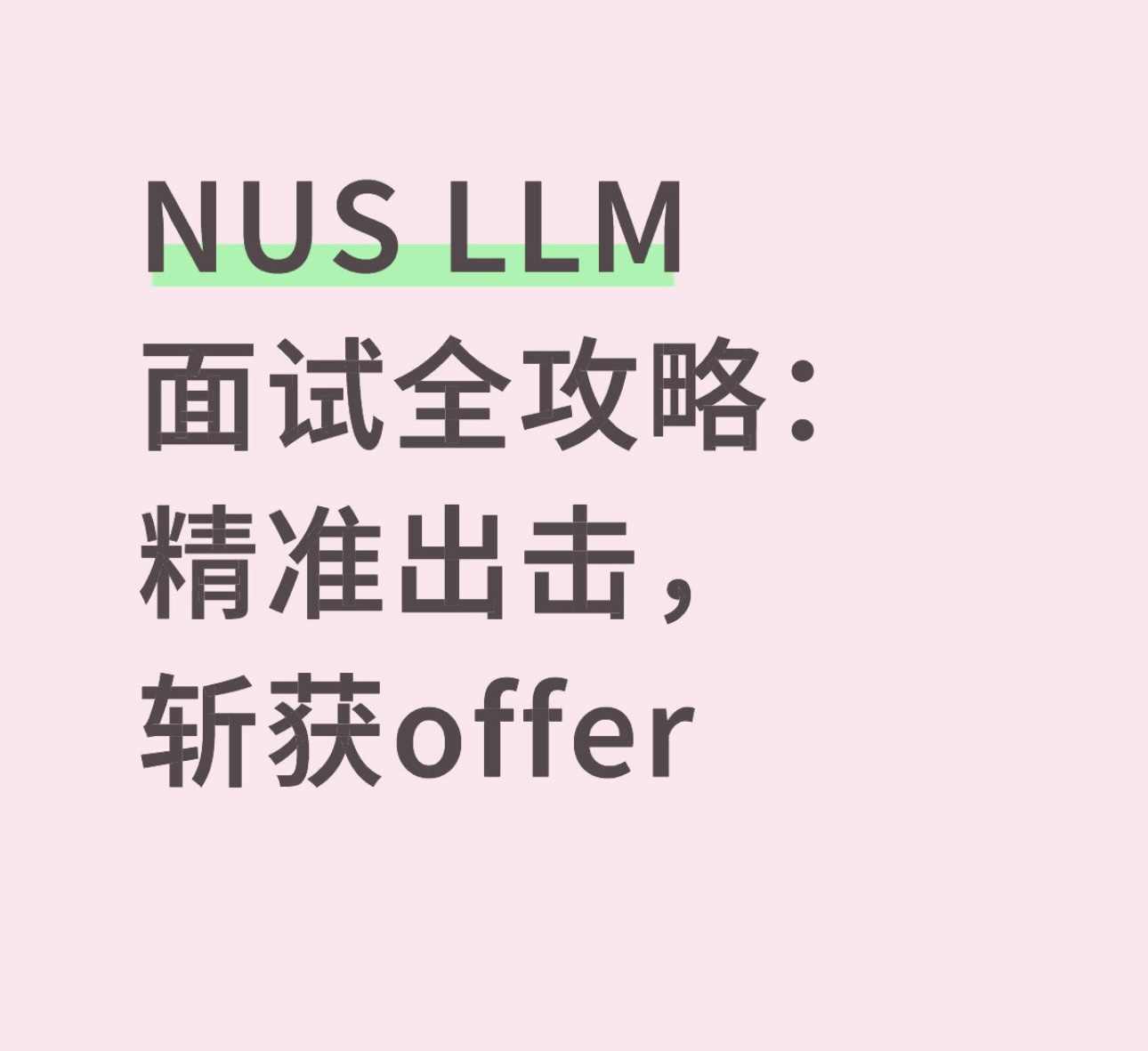 NUS LLM 面试全攻略：精准出击，斩获offer